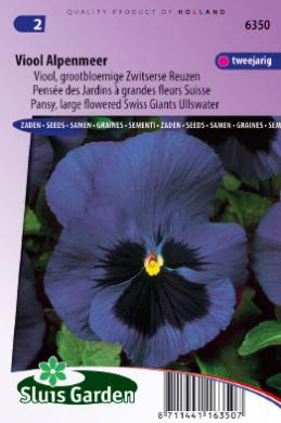 Veilchen Alpensee (Viola wittrockiana) 160 Samen SL